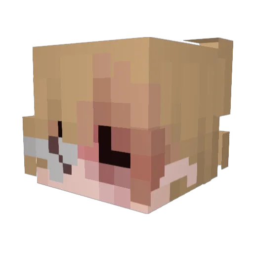insoniia Minecraft avatar head, 3D render