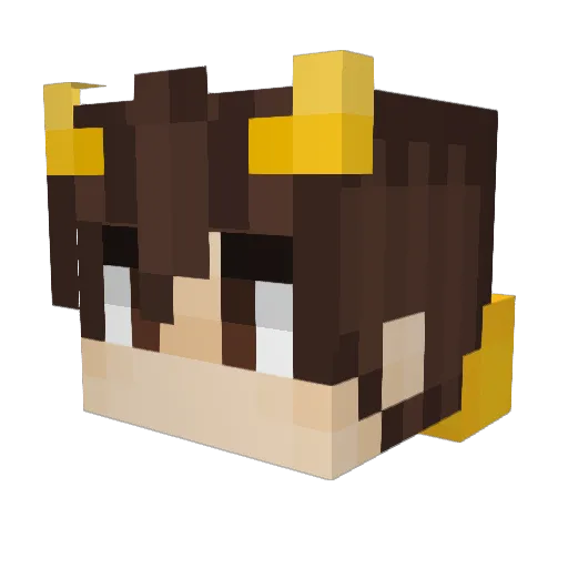 insta_seroelias Minecraft avatar head, 3D render