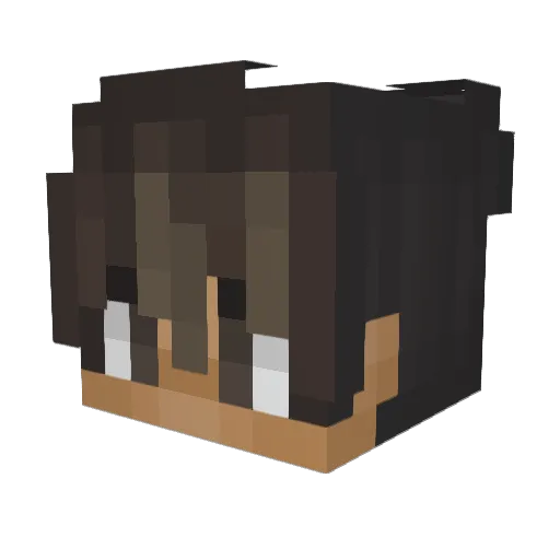 instinktives Minecraft avatar head, 3D render