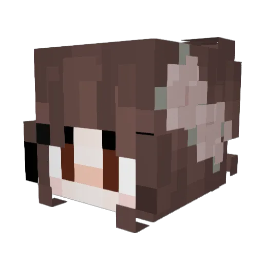 insufferableduck Minecraft avatar head, 3D render