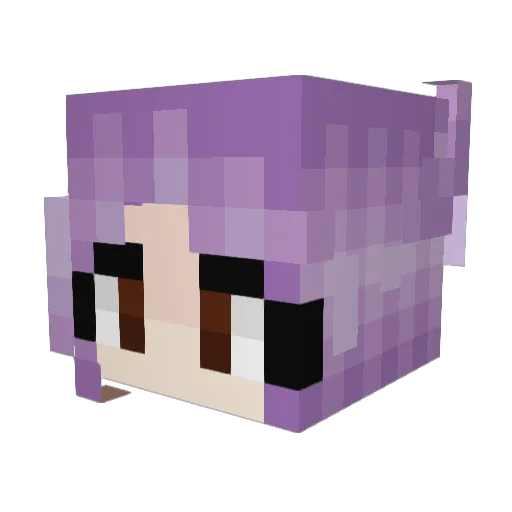 intection Minecraft avatar head, 3D render