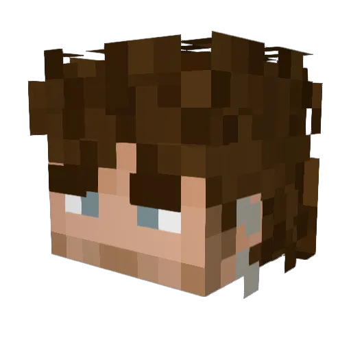 integer_37 Minecraft avatar head, 3D render