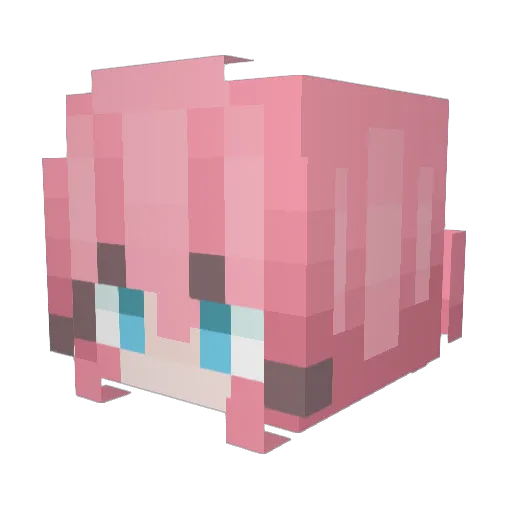 integral2718 Minecraft avatar head, 3D render