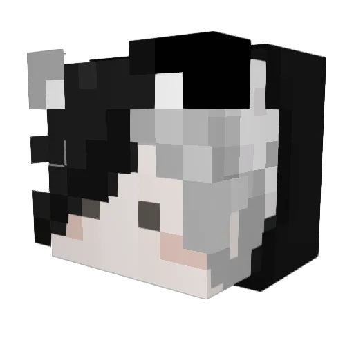 internalist_ Minecraft avatar head, 3D render