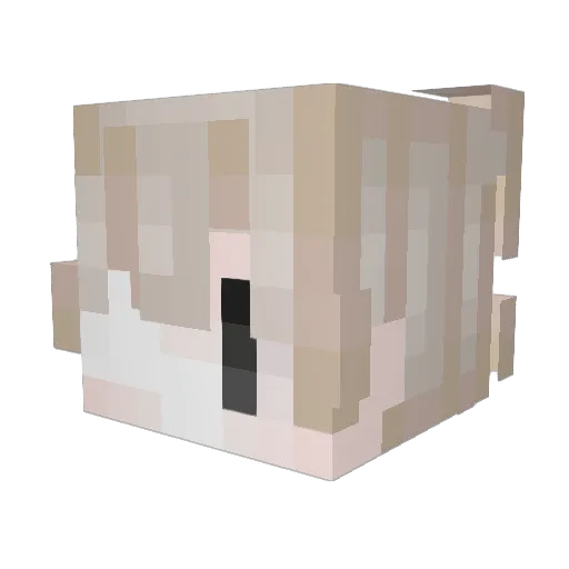 internetcult Minecraft avatar head, 3D render