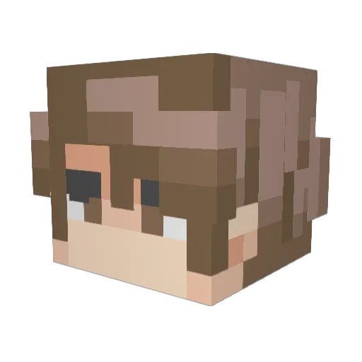 internetfraud Minecraft avatar head, 3D render