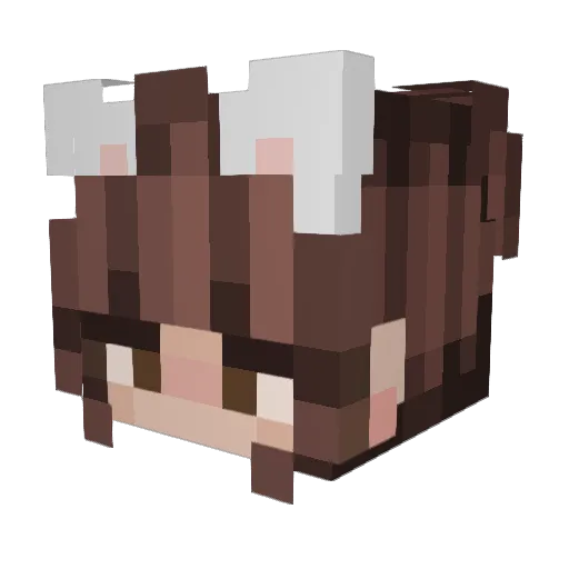 internetlolii Minecraft avatar head, 3D render