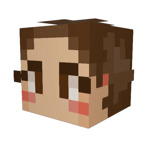 internetpirat123 Minecraft avatar head, 3D render