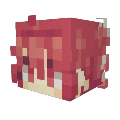 internetstuff12 Minecraft avatar head, 3D render