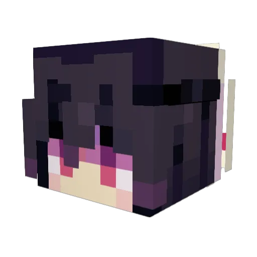 internetsurf Minecraft avatar head, 3D render