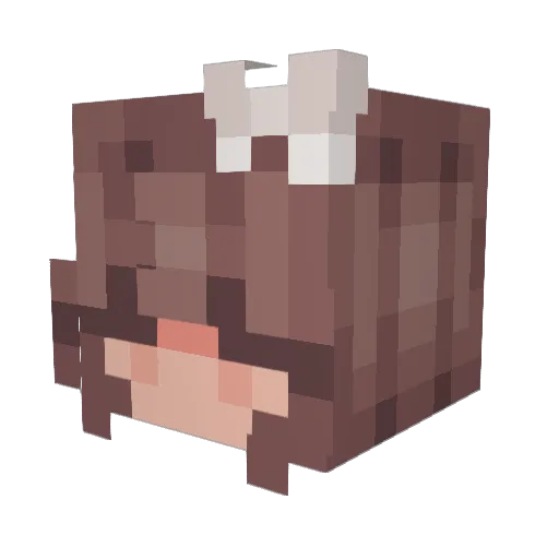 internetswan Minecraft avatar head, 3D render