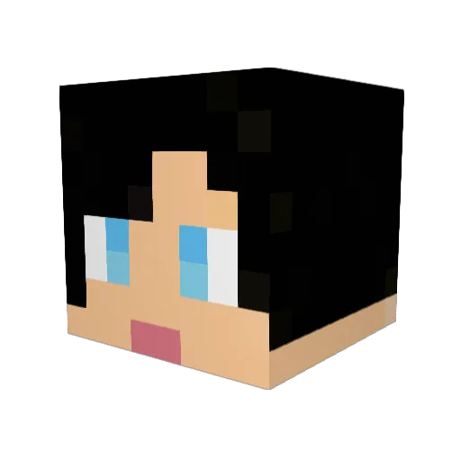 inthesuburbs Minecraft avatar head, 3D render