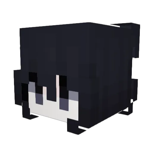 introvert00 Minecraft avatar head, 3D render