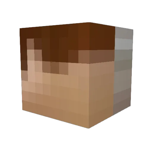 inu_dog_ Minecraft avatar head, 3D render