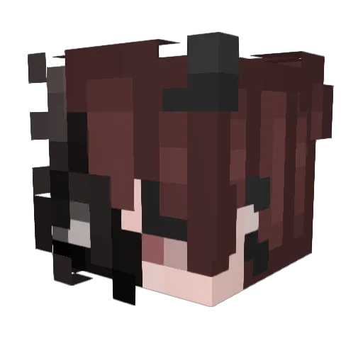 invertime Minecraft avatar head, 3D render