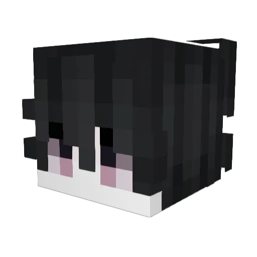 invfly Minecraft avatar head, 3D render