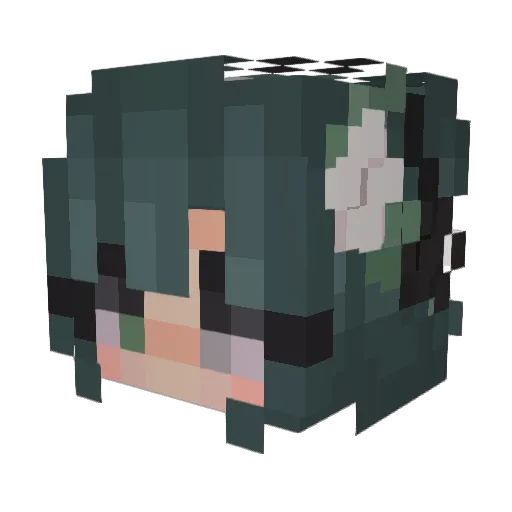 invisairplanes Minecraft avatar head, 3D render