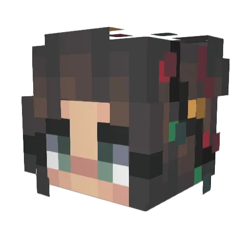 invisible208 Minecraft avatar head, 3D render
