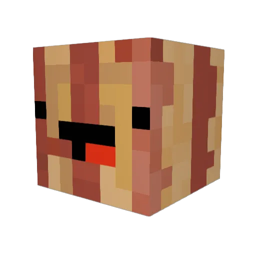 invisiblq Minecraft avatar head, 3D render