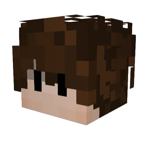 invro Minecraft avatar head, 3D render