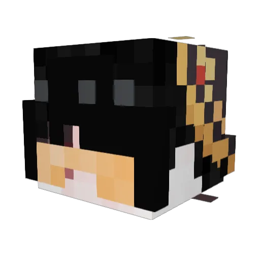 invvz Minecraft avatar head, 3D render