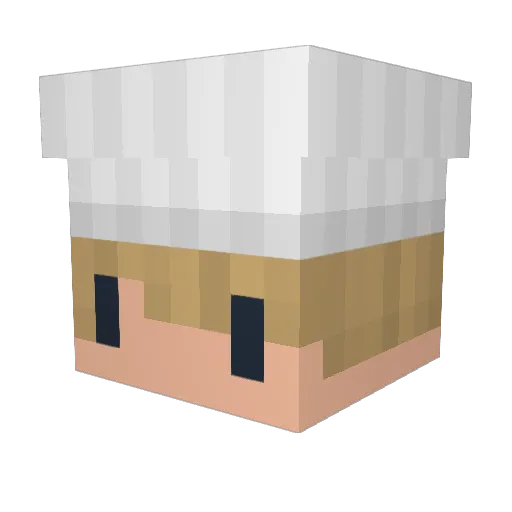 inzert_Name Minecraft avatar head, 3D render