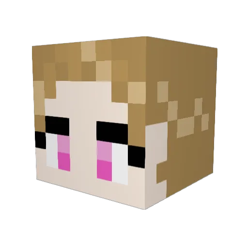 ioaaoi Minecraft avatar head, 3D render