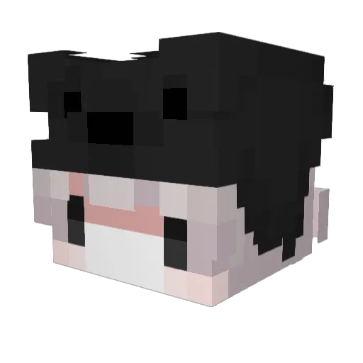 iokh_ Minecraft avatar head, 3D render