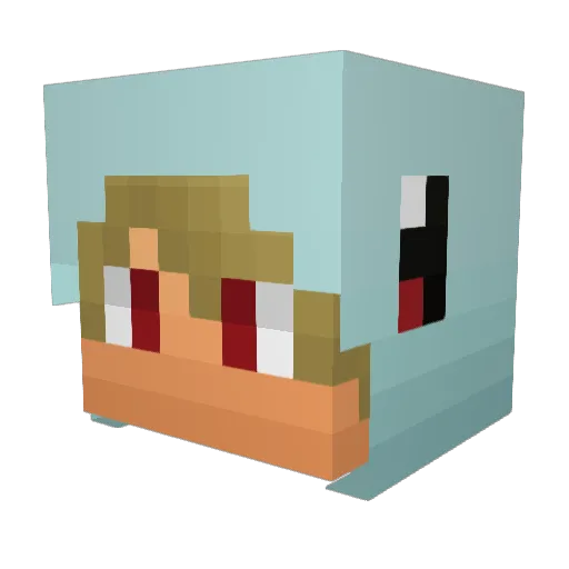 ionas41008 Minecraft avatar head, 3D render