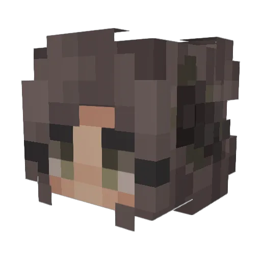 ionexchange Minecraft avatar head, 3D render