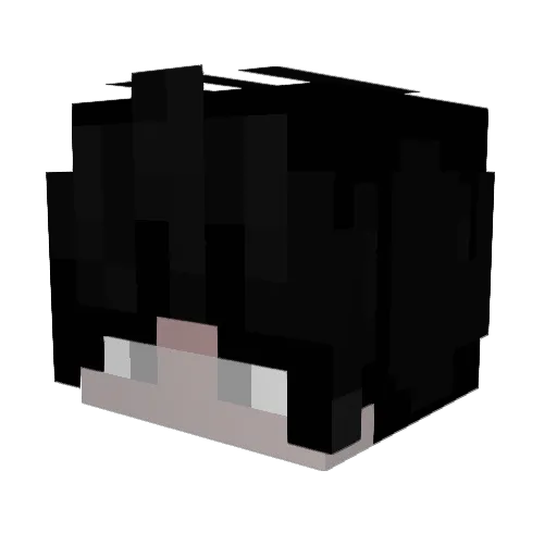 ionlythinkgay Minecraft avatar head, 3D render