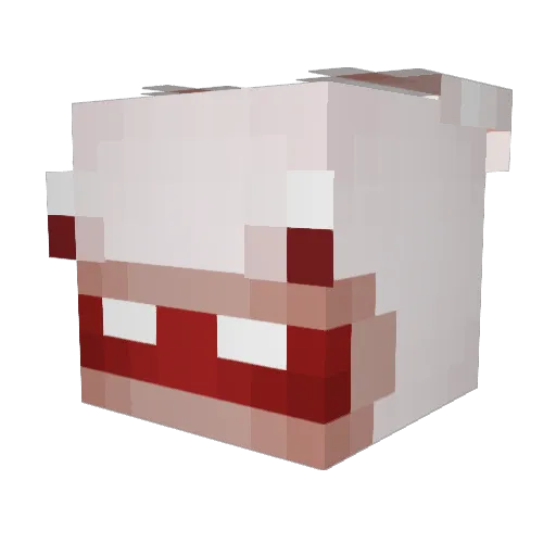 ionqwe Minecraft avatar head, 3D render