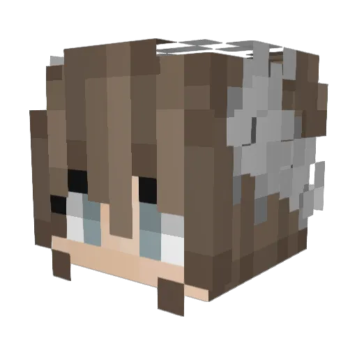 iopass Minecraft avatar head, 3D render