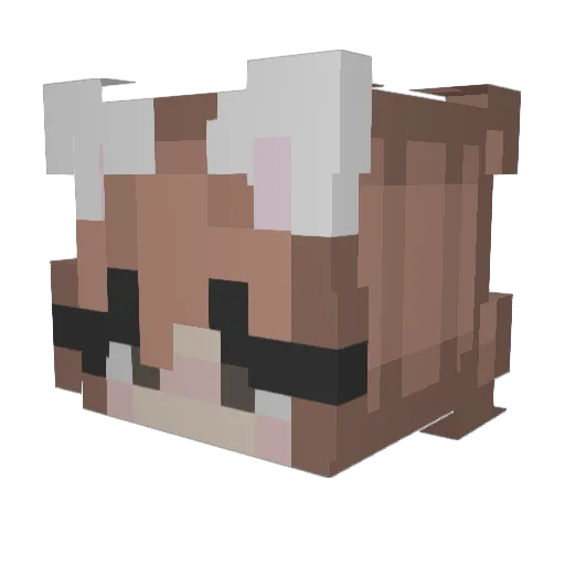 iowerlq_f Minecraft avatar head, 3D render