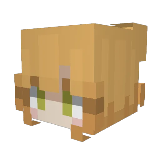 ipeedmypants41 Minecraft avatar head, 3D render