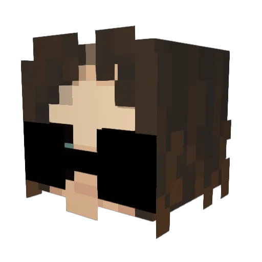 iperdolphinnl Minecraft avatar head, 3D render