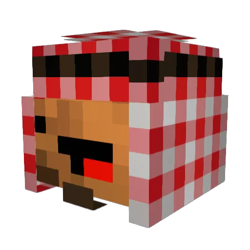 ipiPlayWithDiddy Minecraft avatar head, 3D render