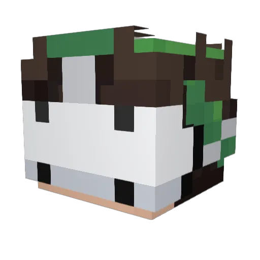 Minecraft-Avatar von iplusd: Kopf als 3D-Render