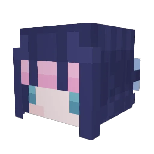 ipodnet Minecraft avatar head, 3D render