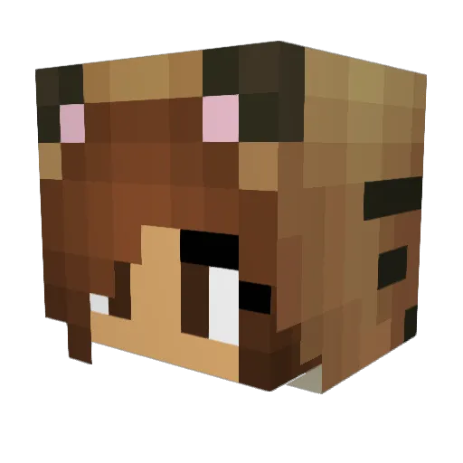 ipooki Minecraft avatar head, 3D render