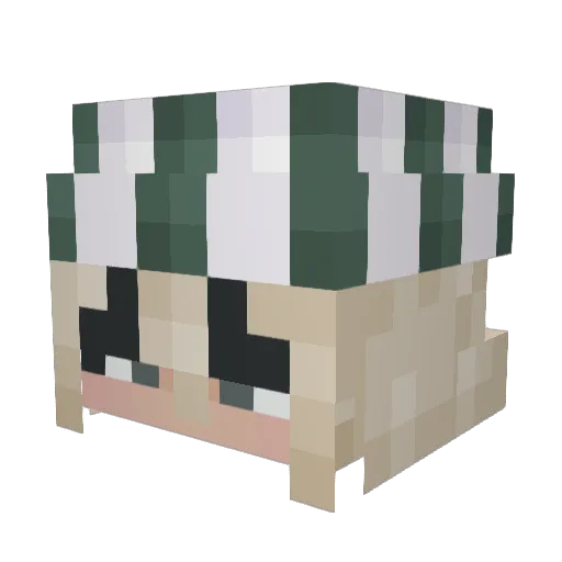 ippo12145 Minecraft avatar head, 3D render