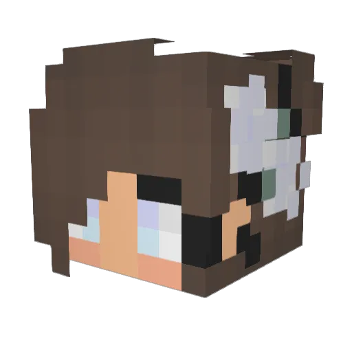 ira200 Minecraft avatar head, 3D render
