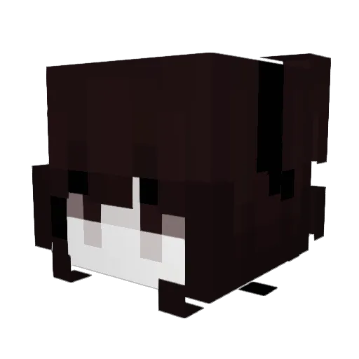 iraida999 Minecraft avatar head, 3D render