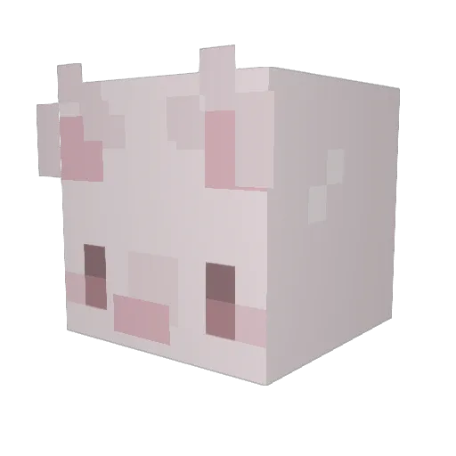 iraizza Minecraft avatar head, 3D render