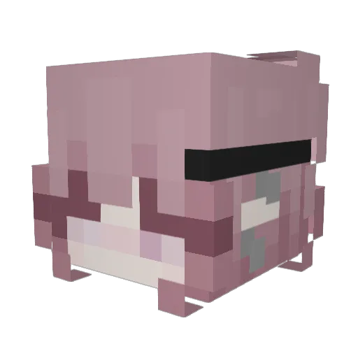 irateanarchist Minecraft avatar head, 3D render