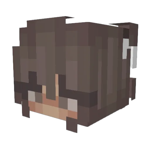 ire_shadow Minecraft avatar head, 3D render
