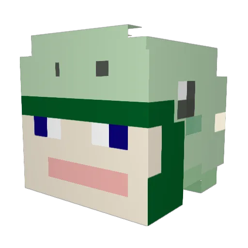ireland420 Minecraft avatar head, 3D render