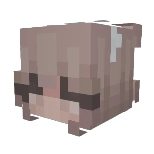 irelande Minecraft avatar head, 3D render