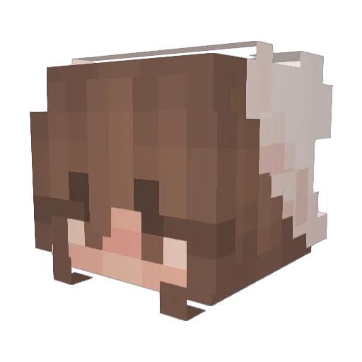 irenevas Minecraft avatar head, 3D render