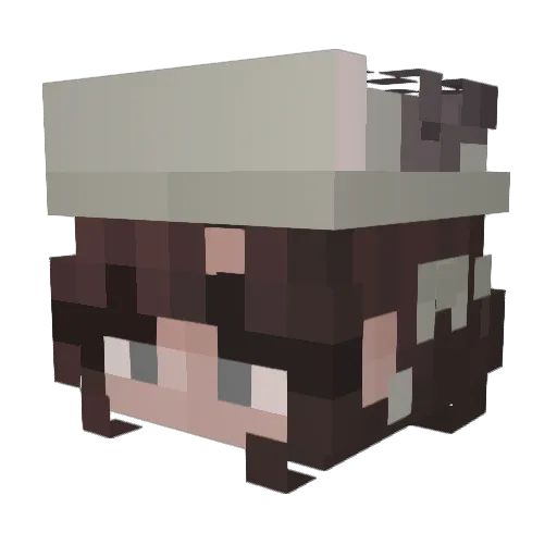 irenicyt Minecraft avatar head, 3D render